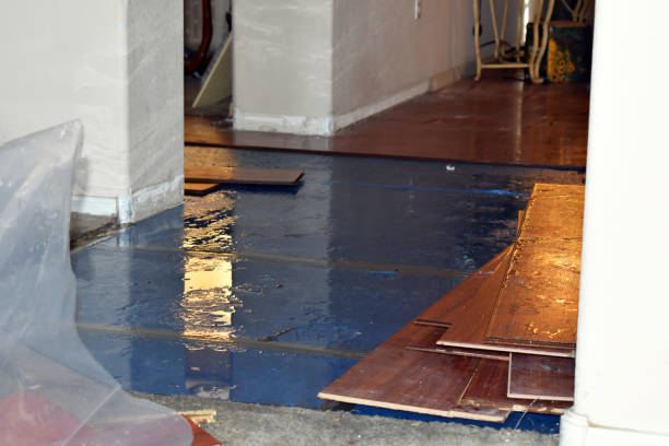 Professional Water Damage Restoration technician working in Napoleon, MO